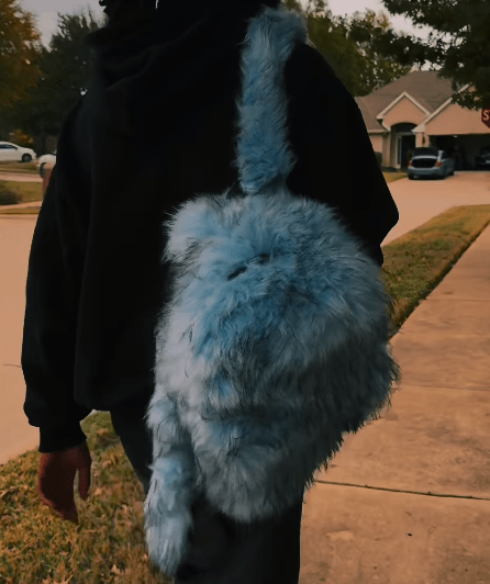 Chill Plush Backpack - allsose