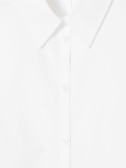 Regular Curvedhem Shirt - allsose